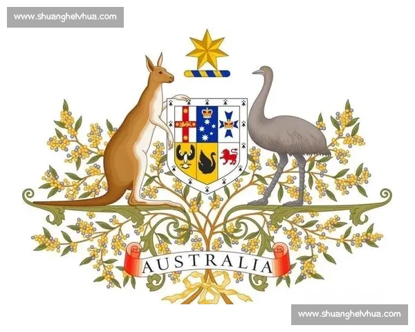 袋鼠与自然生态的斗争与生存智慧探索