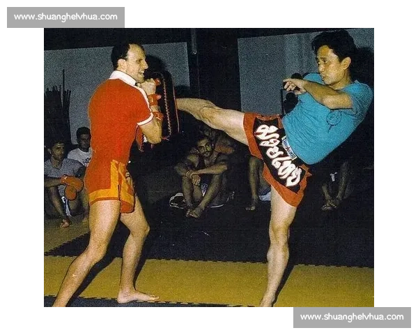 董文飞对决播求巅峰较量谁主站立格斗新纪元传奇之战引爆世界拳坛风云